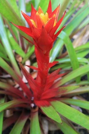 Hawaii 2010 060