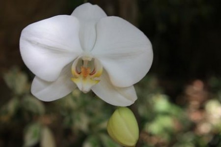 Hawaii 2010 135