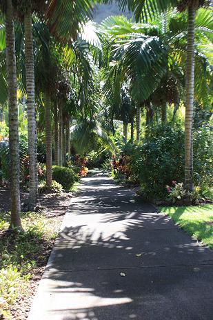 Hawaii 2010 145