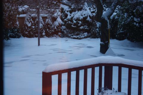 ice ice baby 001