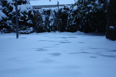 ice ice baby 006