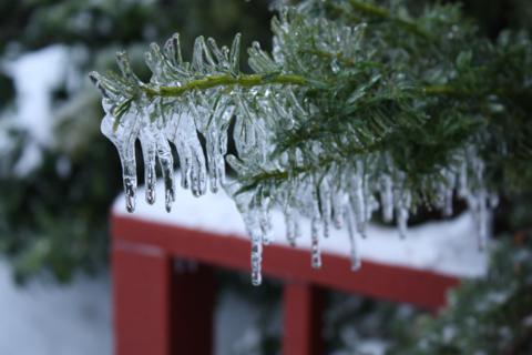 ice ice baby 020