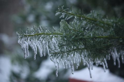 ice ice baby 027
