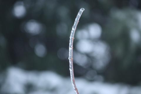 ice ice baby 031