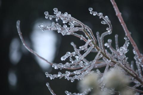 ice ice baby 033