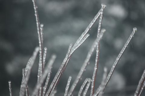 ice ice baby 052