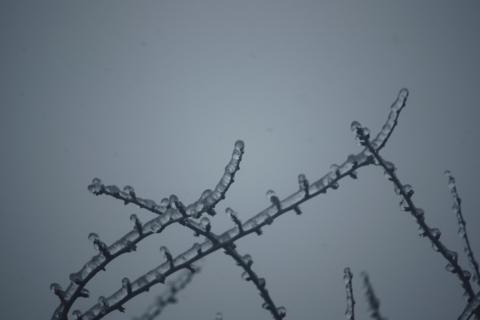 ice ice baby 070