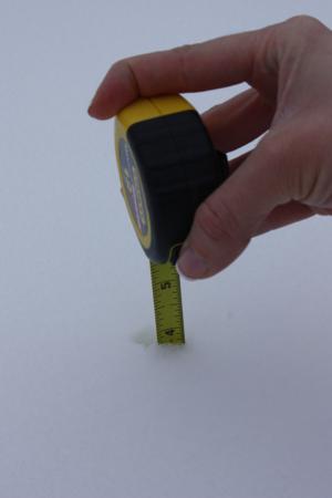 snow 030